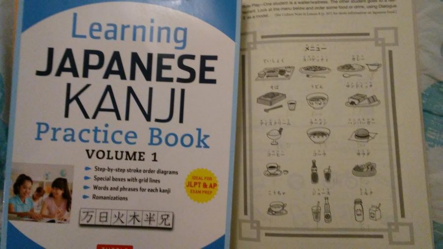 The author’s Japanese practice workbook and grammar textbook.