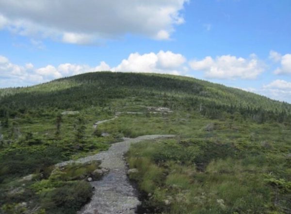 The final ascent to Goose Eye Mountain in July of 2024.