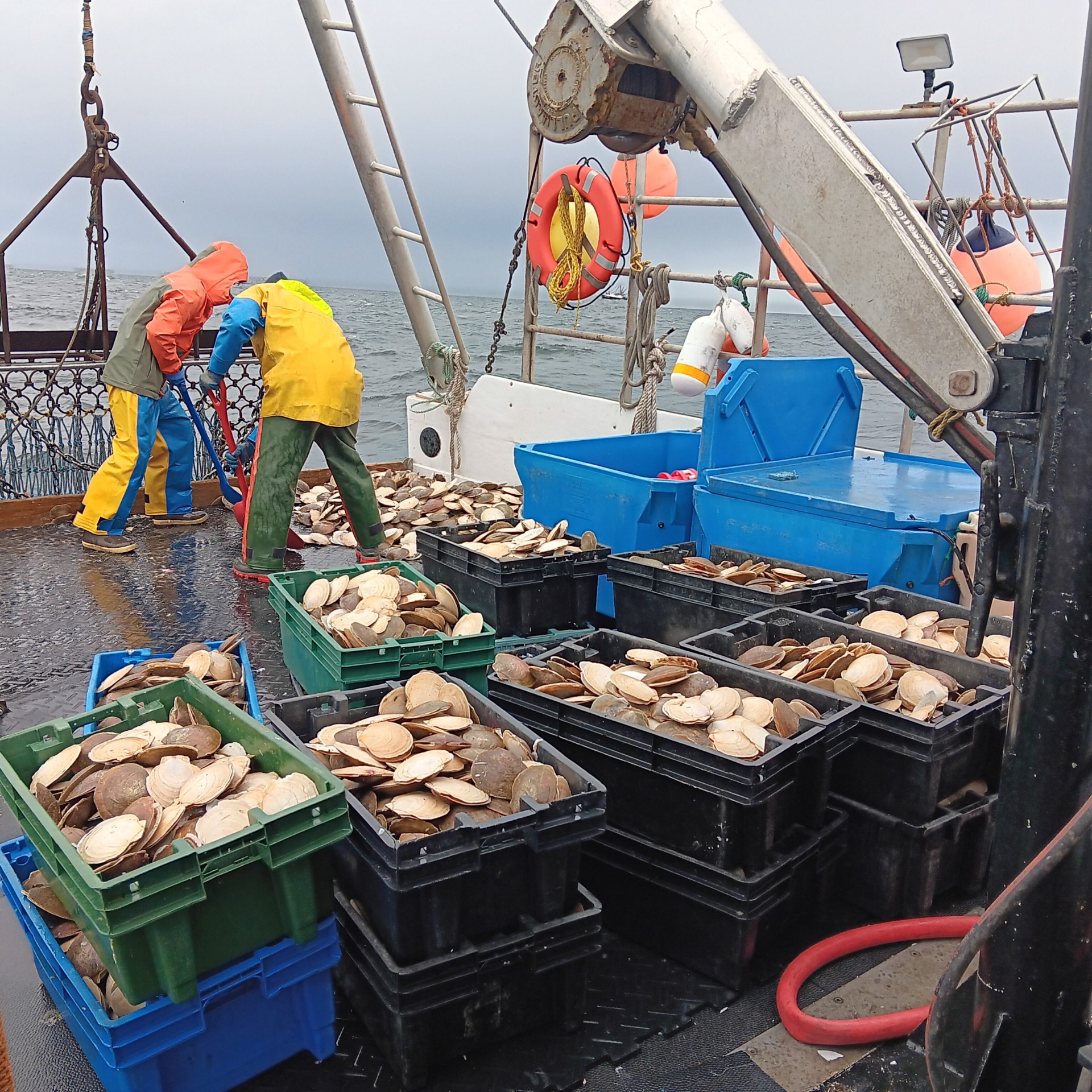 Lang’s crewmen on a typical day on the Alanna Renee. Photo credits: Kurtis Lang